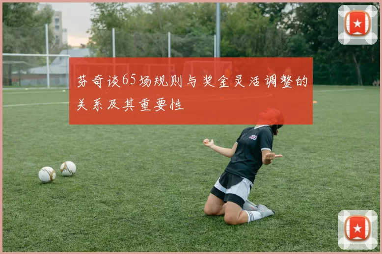 芬奇谈65场规则与奖金灵活调整的关系及其重要性