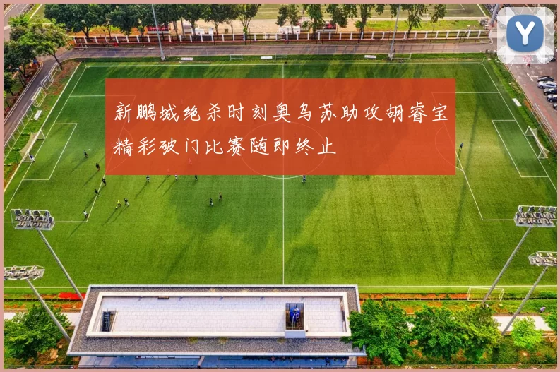新鹏城绝杀时刻奥乌苏助攻胡睿宝精彩破门比赛随即终止